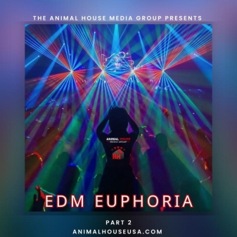 EDM Euphoria Pt2 (1200 × 800 px)
