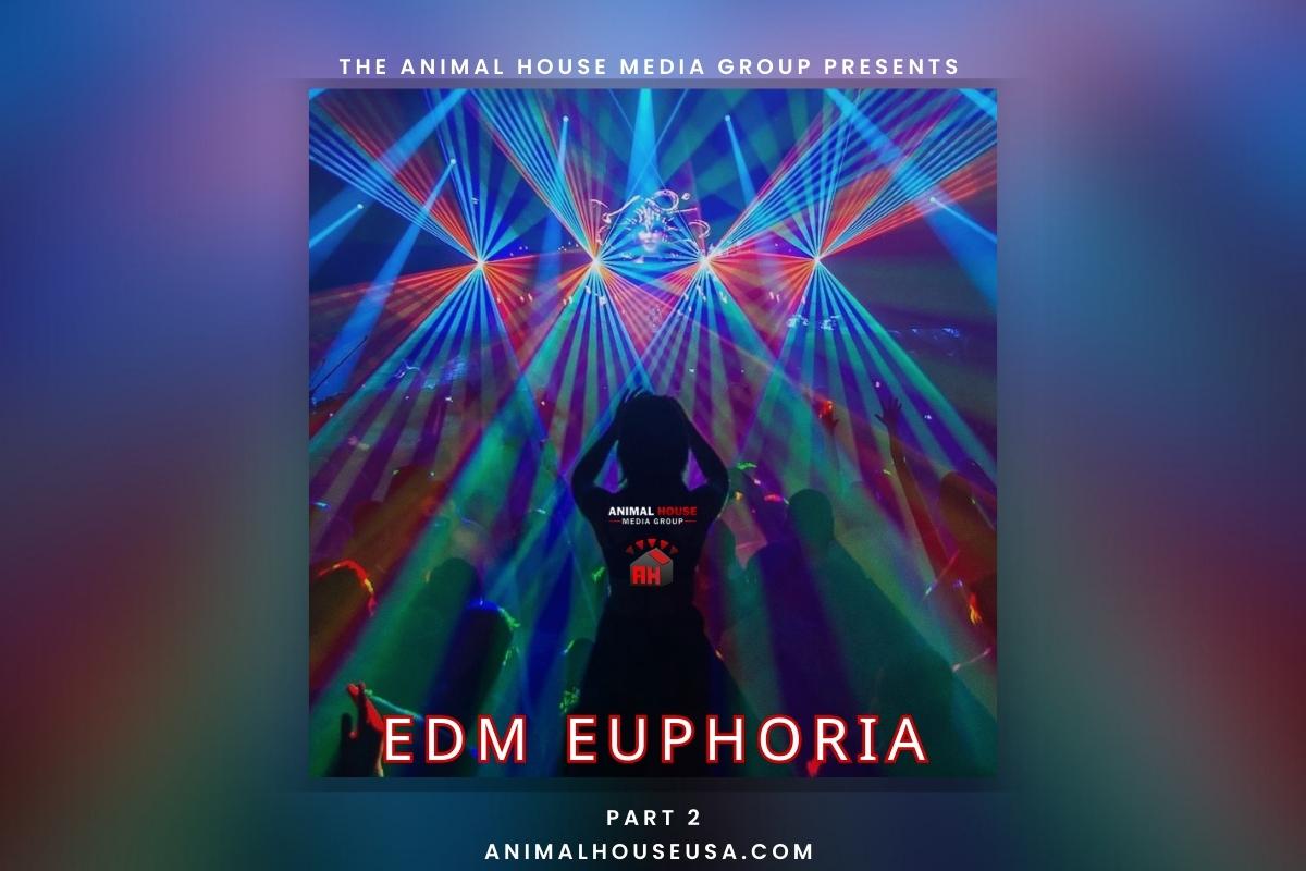 EDM Euphoria Pt2 (1200 × 800 px)