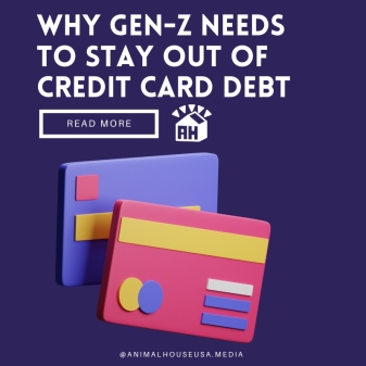 Blue 3D Finance Credit Card Tips Instagram Post