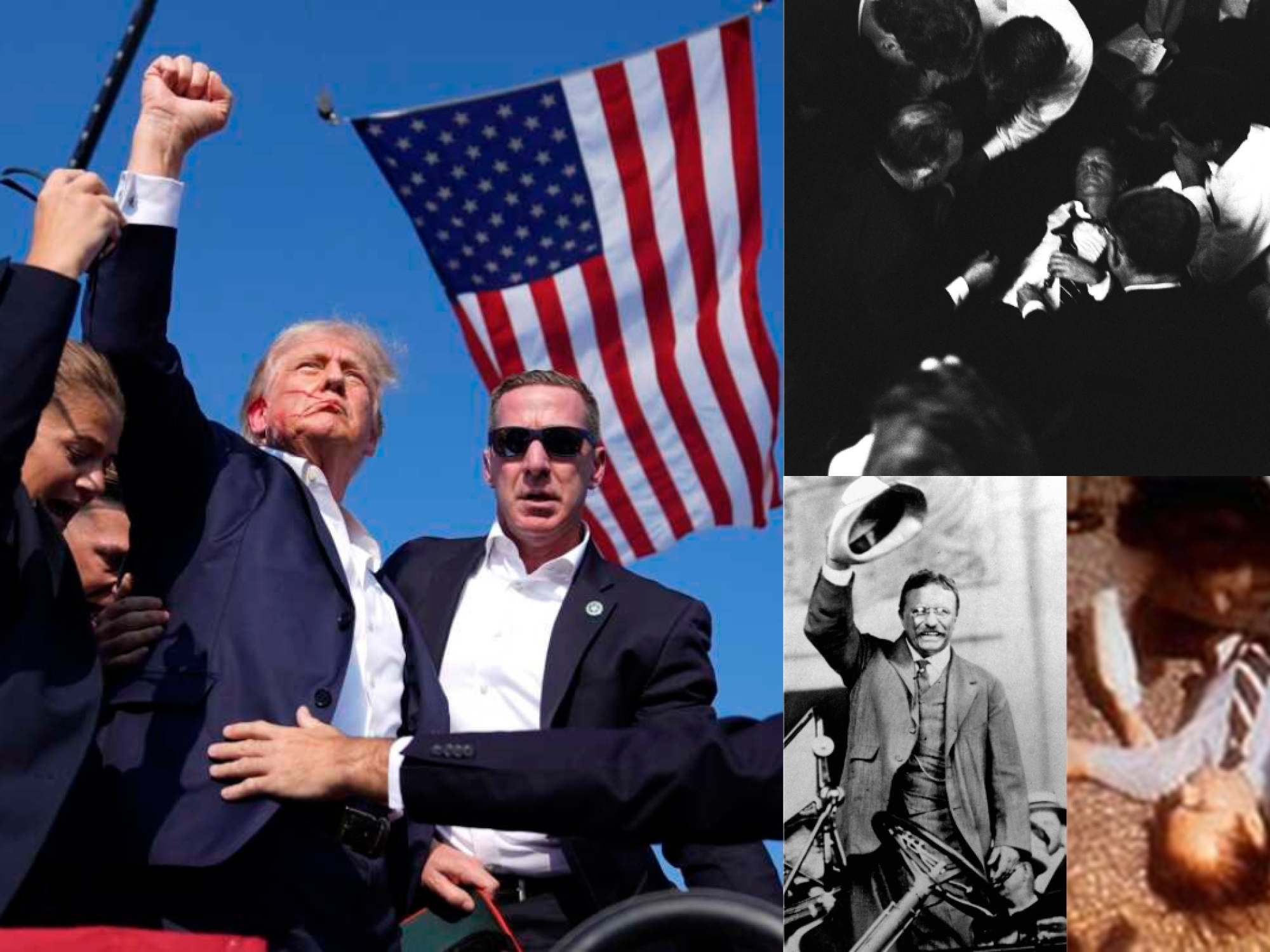 Presidential Candidates Assassination