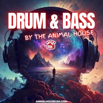 Drum & Bass Cover Art (1200 X 800 Px) 2