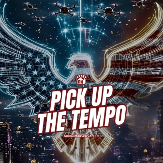 Pick Up The Tempo Album Cover (1200 X 800 Px)